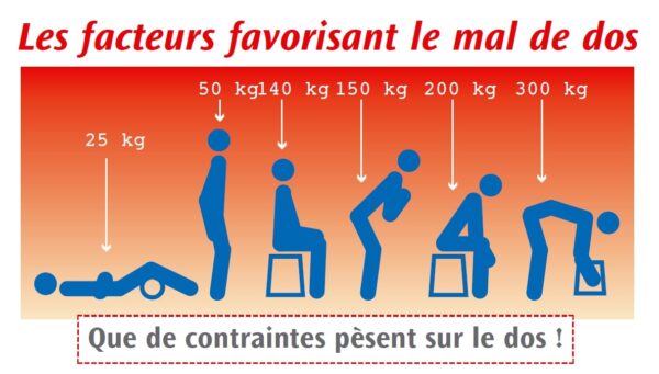 Les causes du mal de dos